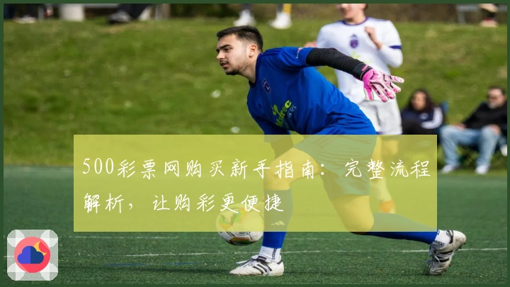 500彩票网购买新手指南：完整流程解析，让购彩更便捷