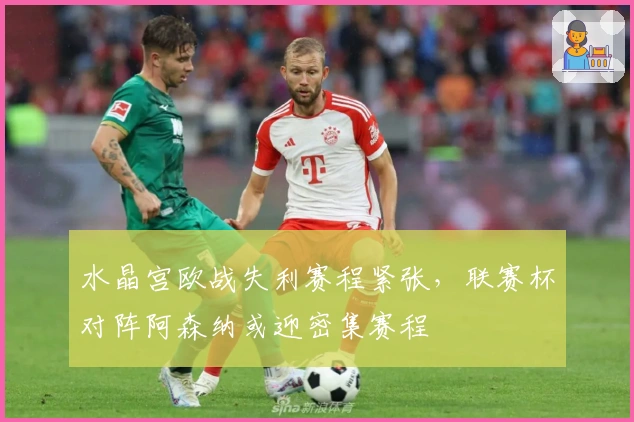 水晶宫欧战失利赛程紧张，联赛杯对阵阿森纳或迎密集赛程