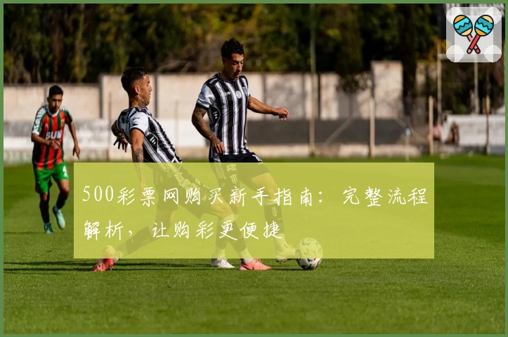 500彩票网购买新手指南：完整流程解析，让购彩更便捷