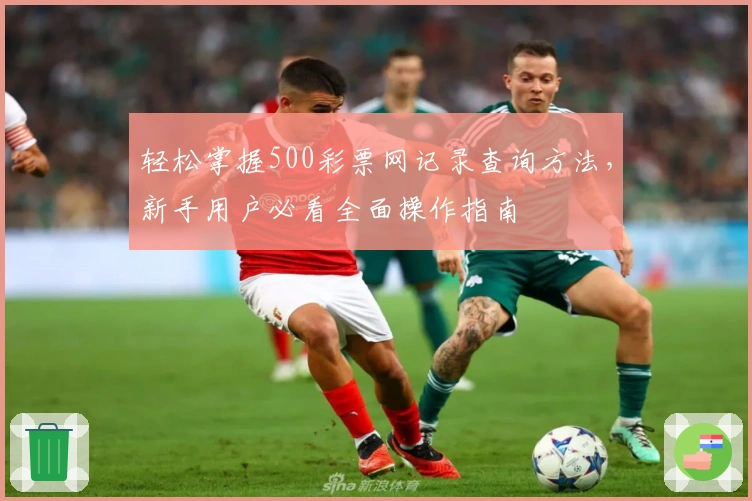 轻松掌握500彩票网记录查询方法，新手用户必看全面操作指南